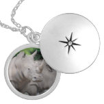 Friendly Rhino Silver Plated Necklace