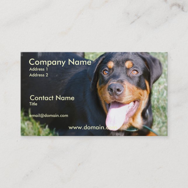 Friendly Rottweiler Dog Business Card (Front)