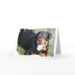 Friendly Rottweiler Greeting Card