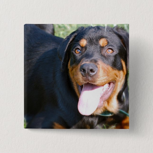 Friendly Rottweiler  Pin (Front)