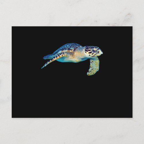 Friendly Sea Turtle Swimming Underwater Photo Art Invitation Postcard