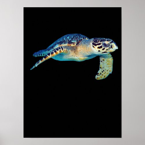 Friendly Sea Turtle Swimming Underwater Photo Art Poster