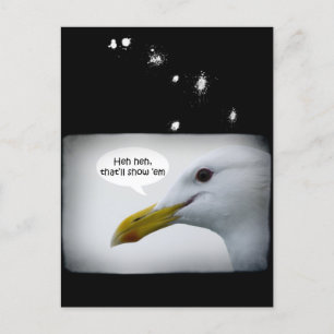 Friendly Seagull? Postcard