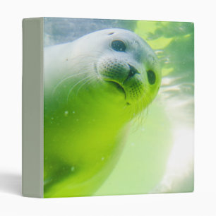 Friendly Seal 3 Ring Binder