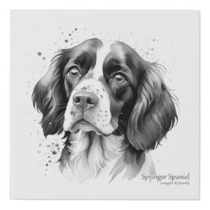 Friendly Springer Spaniel Faux Canvas Print