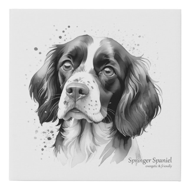 Friendly Springer Spaniel Faux Canvas Print (Front)