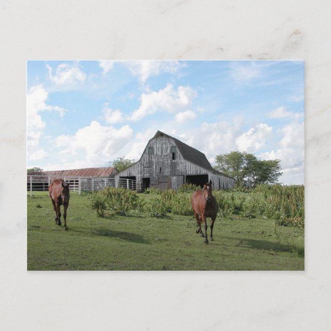 Friendly Welcome Postcard (Front)