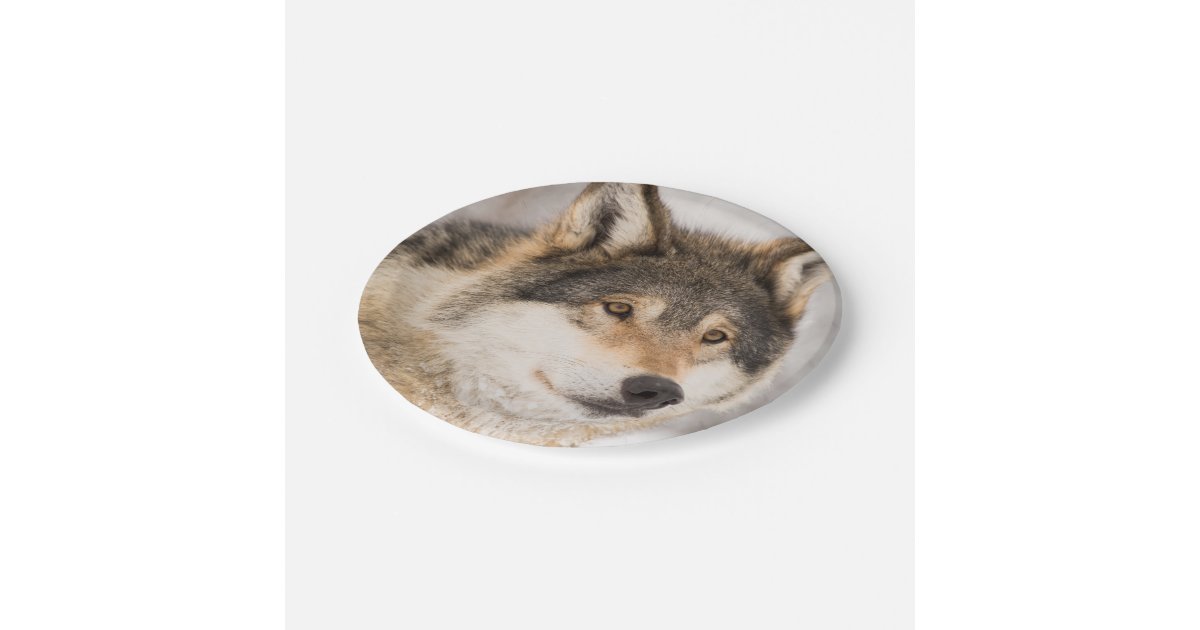 Friendly Wolf smiling paper plates | Zazzle