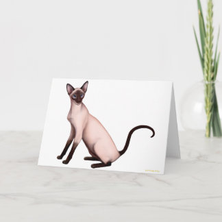 Friendly Young Siamese Cat Card