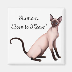 Friendly Young Siamese Cat Customizable  Magnet