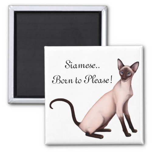 Friendly Young Siamese Cat Customizable  Magnet
