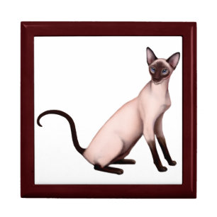 Friendly Young Siamese Cat Gift Box