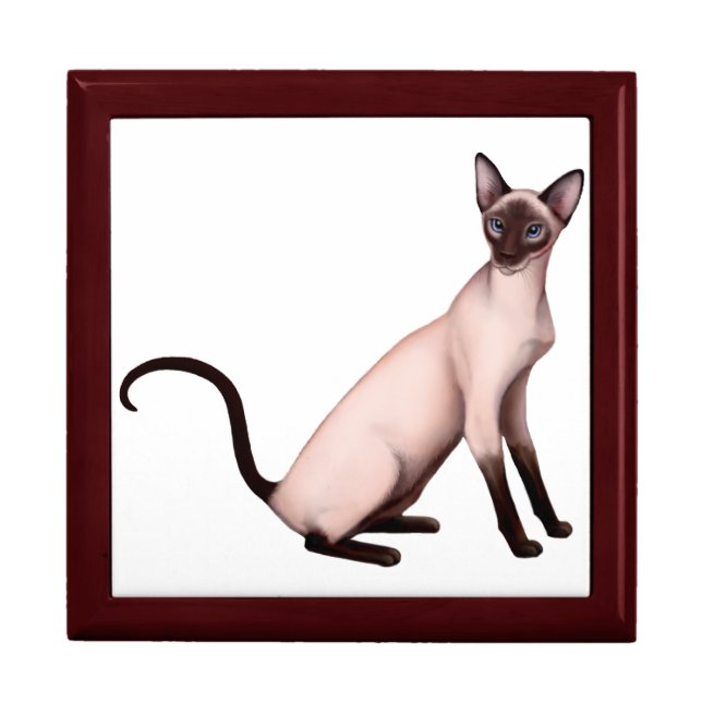 Friendly Young Siamese Cat Gift Box (Front)