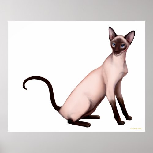 Friendly Young Siamese Cat Poster