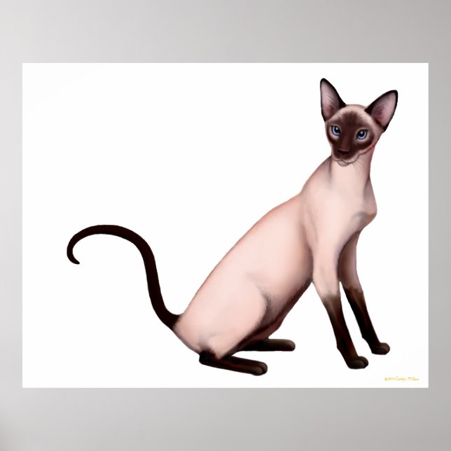 Friendly Young Siamese Cat Poster (Front)