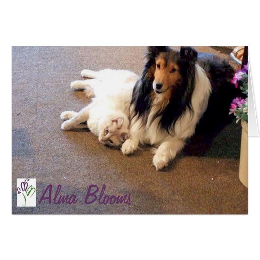 Friends (Front Horizontal)