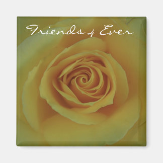 Friends 4 Ever Magnet