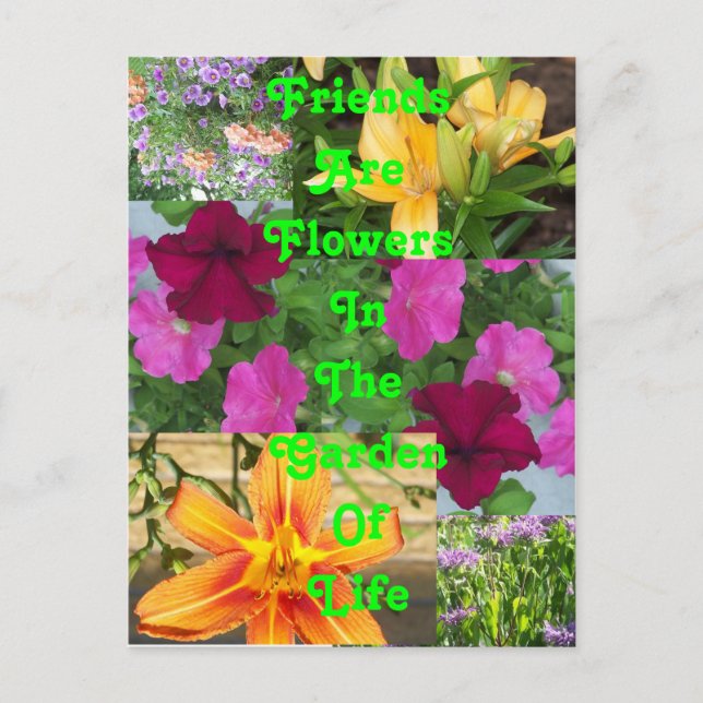 Friends are Flowers ... postcard   PC78 (Front)