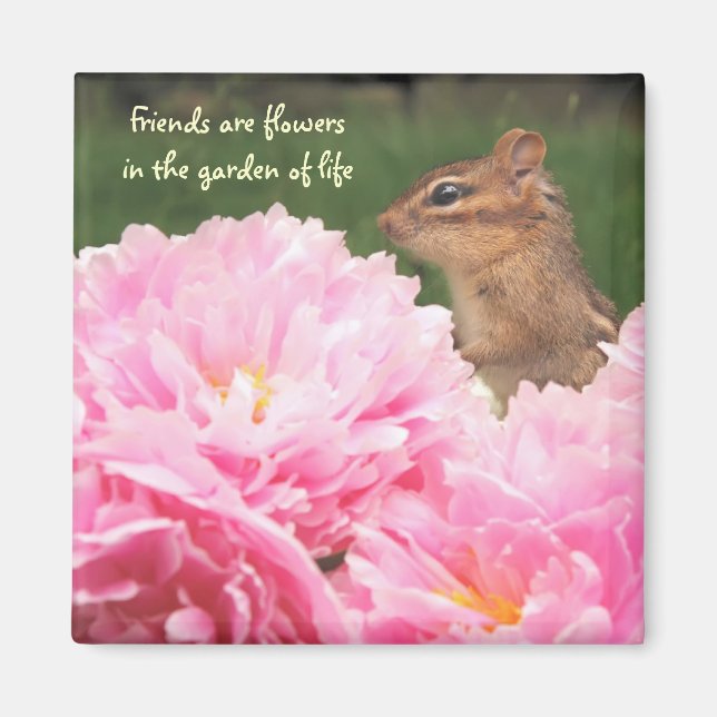 Friends are Flowers Quote Chipmunk Magnet (Front)