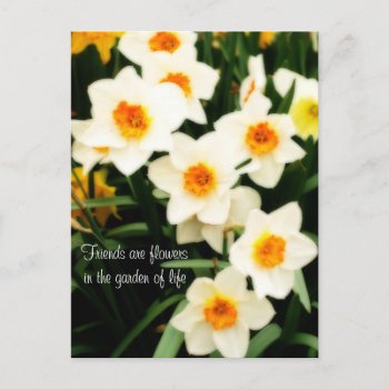 Friends Are Flowers Quote Daffodils Postcard by Meg_Stewart at Zazzle