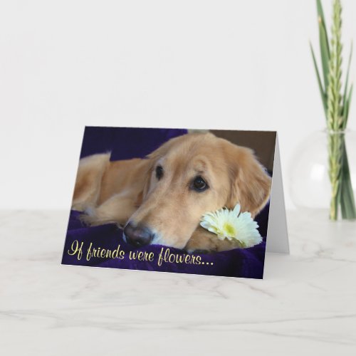 Friends Are Flowers _ You Card