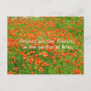 Friends Are Like Flowers Postcard