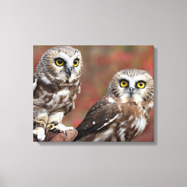 Friends Canvas Print (Front)