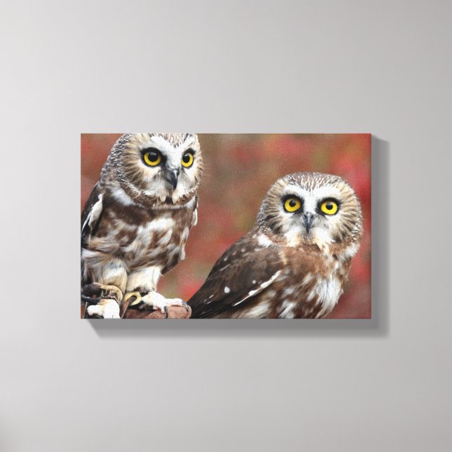 Friends Canvas Print (Front)