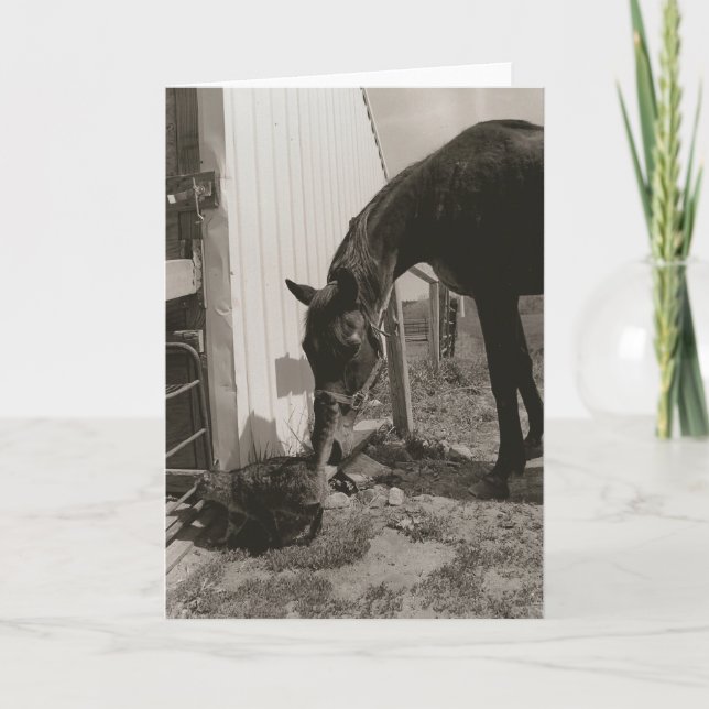 Friends Card (Front)