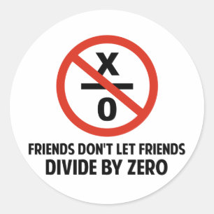 Friends Don't Divide by Zero Classic Round Sticker