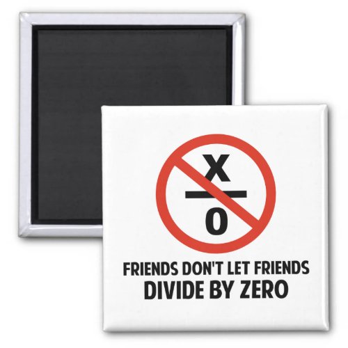 Friends Dont Divide by Zero Magnet