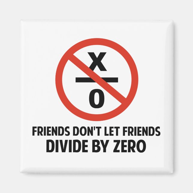 Friends Don't Divide by Zero Magnet (Front)