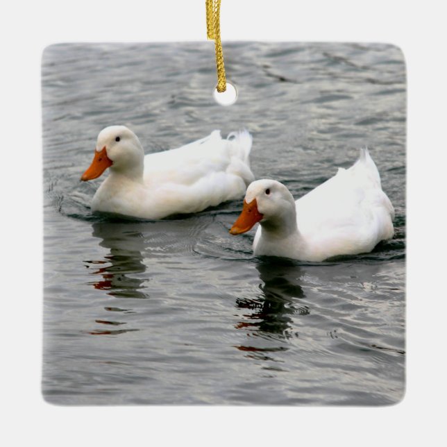 Friends For Life Ceramic Ornament (Front)