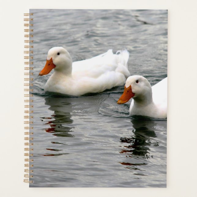 Friends For Life Planner (Front)