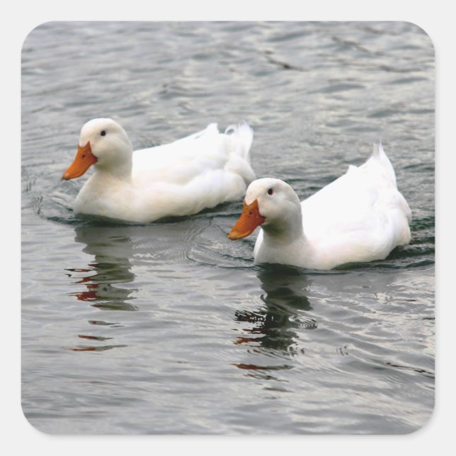 Friends For Life Square Sticker (Front)