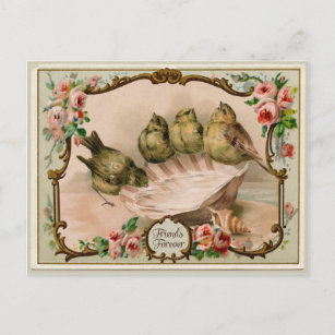 Friends Forever Bird Vintage Reproduction Postcard