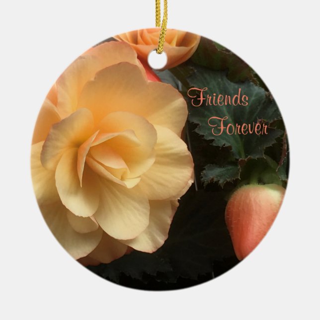 Friends Forever Ceramic Ornament (Front)