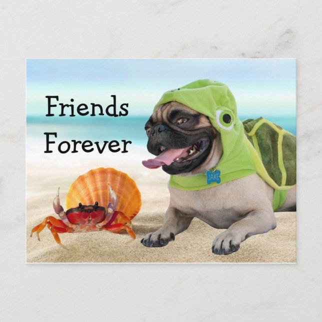 Friends Forever: Crab + Turtle Pug Postcard (Front)