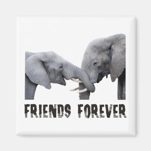 Friends Forever Elephants hugging / kissing Magnet