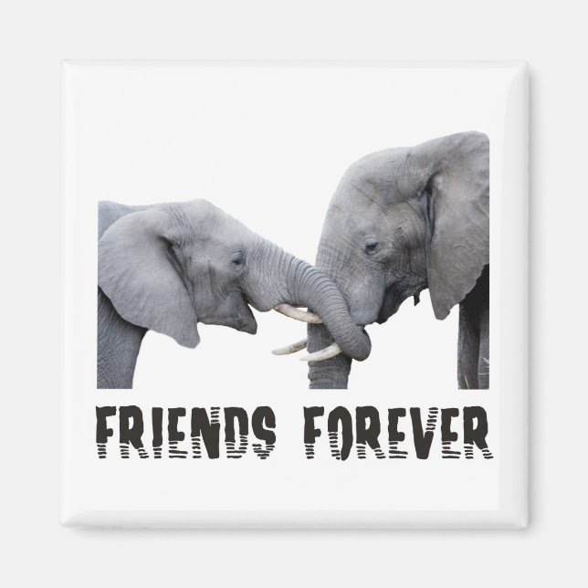 Friends Forever Elephants hugging / kissing Magnet (Front)