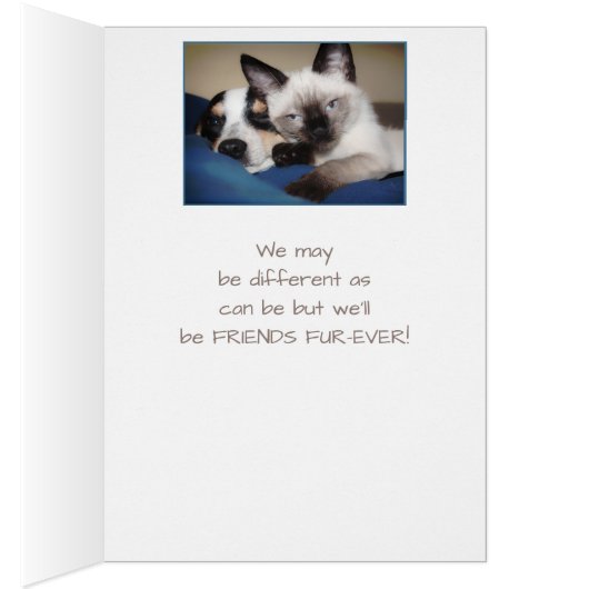 FRIENDS FOREVER OR Fur-ever Dog & Cat Humor (Inside (Right))