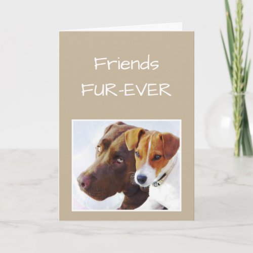 FRIENDS FOREVER OR Fur_ever Dog Humor Card