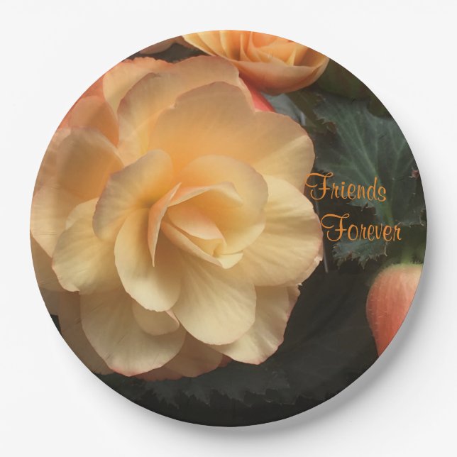 Friends Forever Paper Plates (Front)