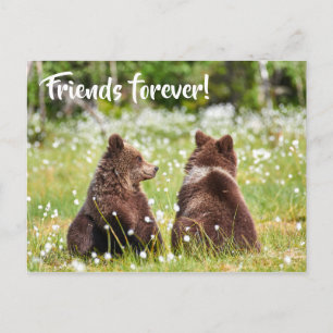 Friends forever postcard