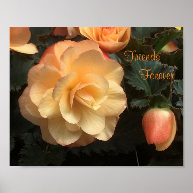 Friends Forever Poster (Front)