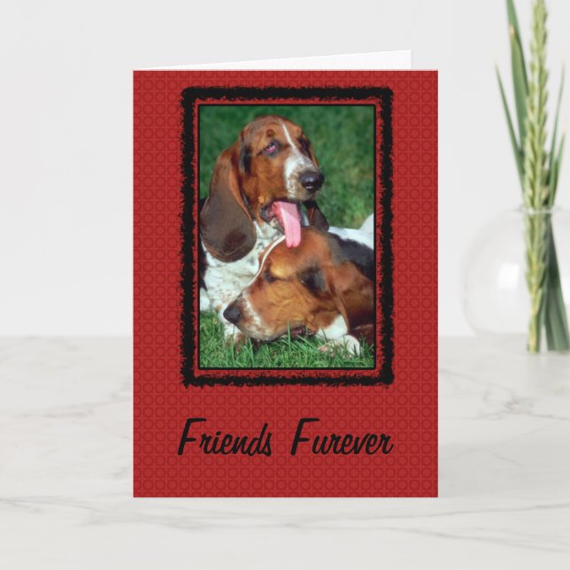 Friends Furever [ Forever] Card (Front)
