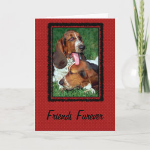 Friends Furever [ Forever] Card