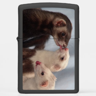 Friends Kisses - 3 Ferrets Zippo Lighter