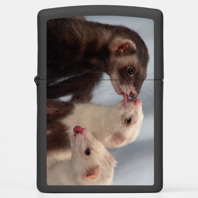Friends Kisses - 3 Ferrets Zippo Lighter (Front)