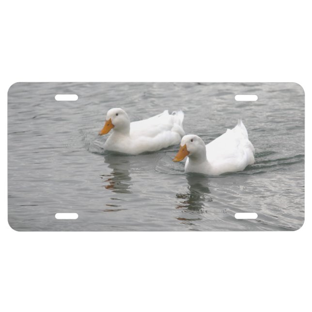 Friends License Plate (Front)